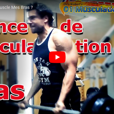 Programme Musculation Bras Biceps Triceps Épaules