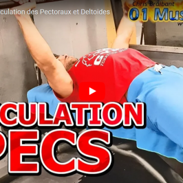 Seance de musculation naturelle des pectoraux